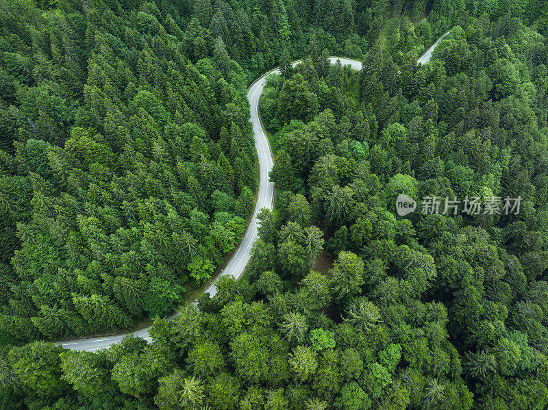 鸟瞰蜿蜒的道路