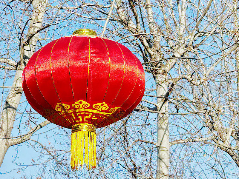 红灯笼挂在中国的传统节日里