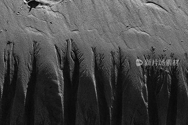 近距离观察沙子上的全画幅抽象图案，看起来像根系