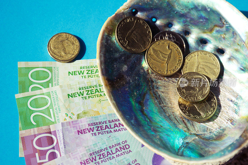 新西兰货币(NZD);美元和硬币与鲍鱼壳