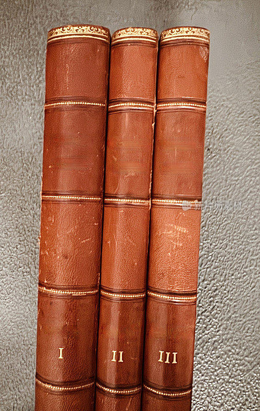 三个19世纪的古书书脊，棕色皮革