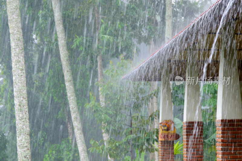 大雨