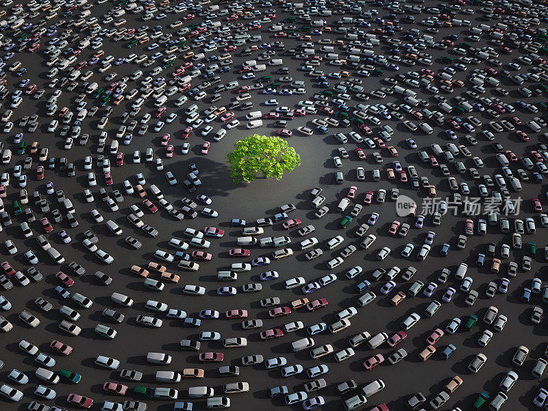 绿树环绕着汽车