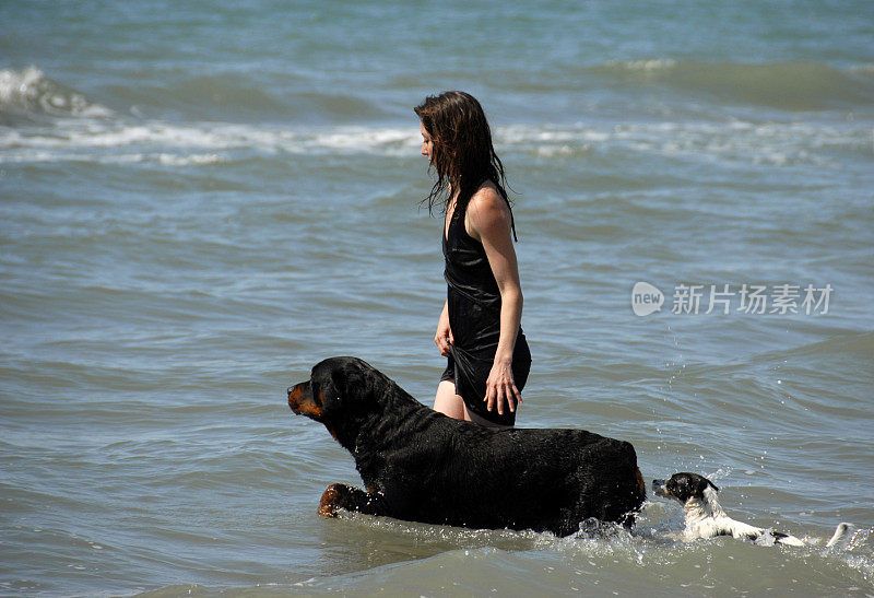 女人和狗在海上