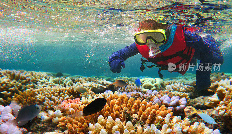 孩子们在澳大利亚昆士兰的大堡礁浮潜