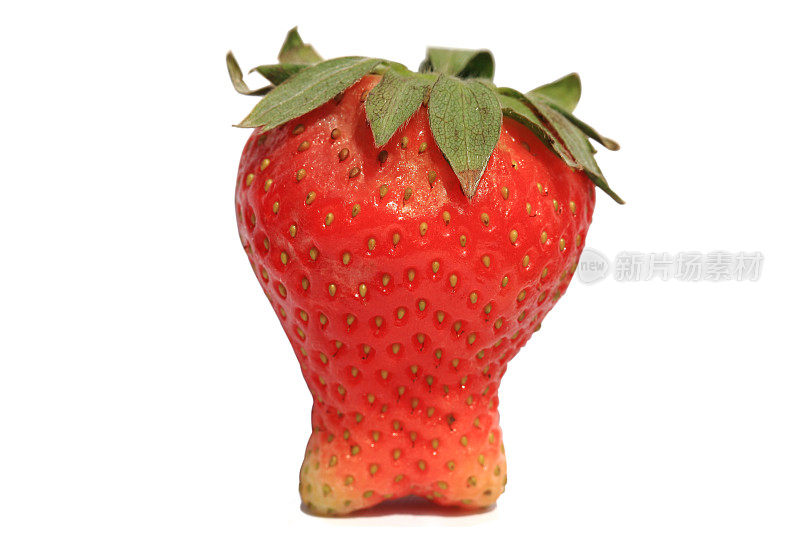 草莓比喻坚硬的牙齿