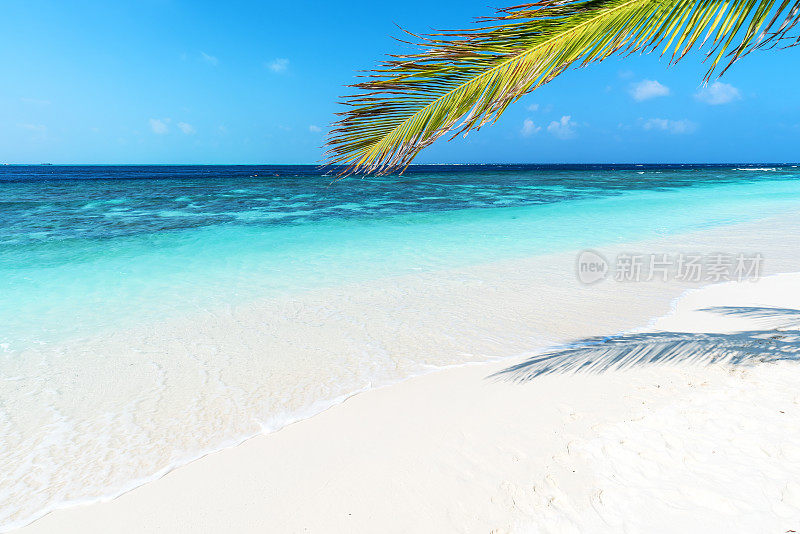 阳光明媚的热带海滩背景