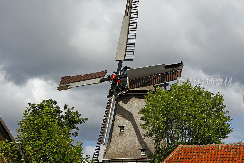 Texel，荷兰XL
