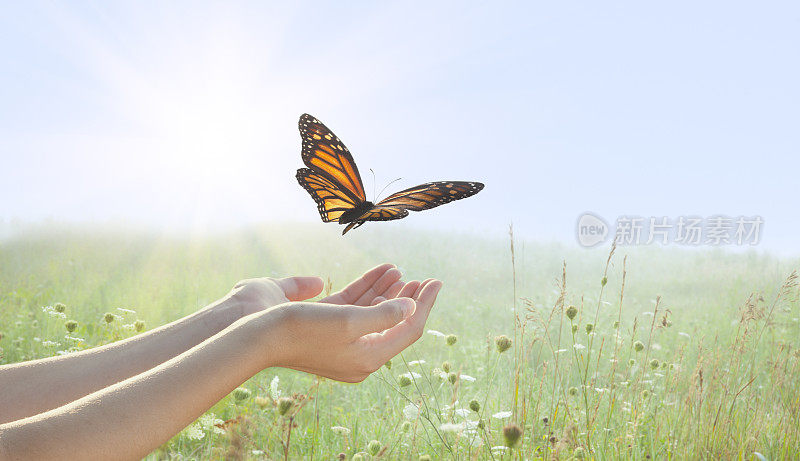 女孩正在放飞一只帝王蝶