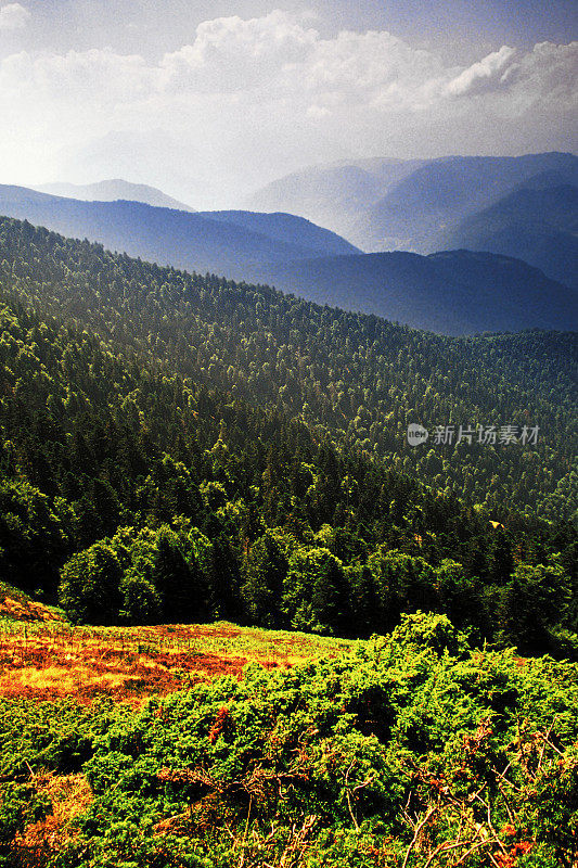 庇里牛斯山