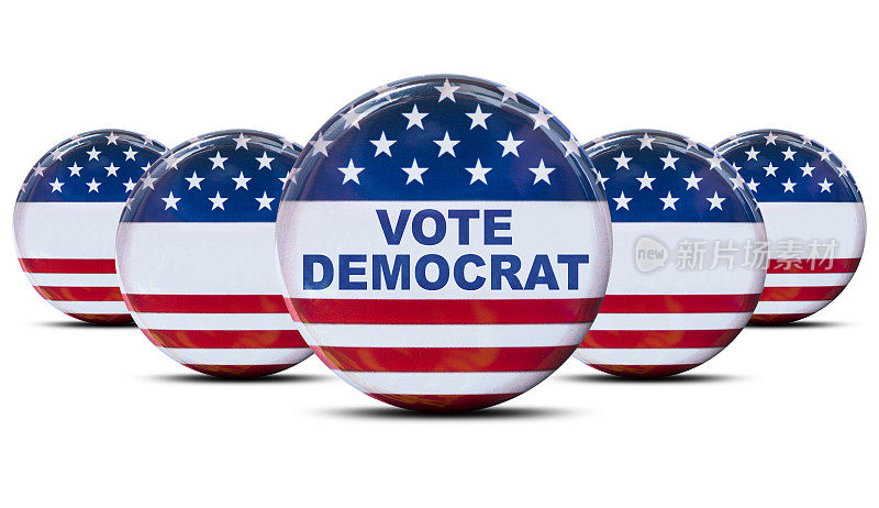 投票给民主党总统选举徽章