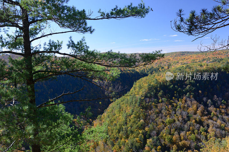 宾夕法尼亚州大峡谷的秋天景色