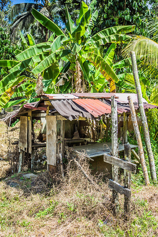 小屋在婆罗洲