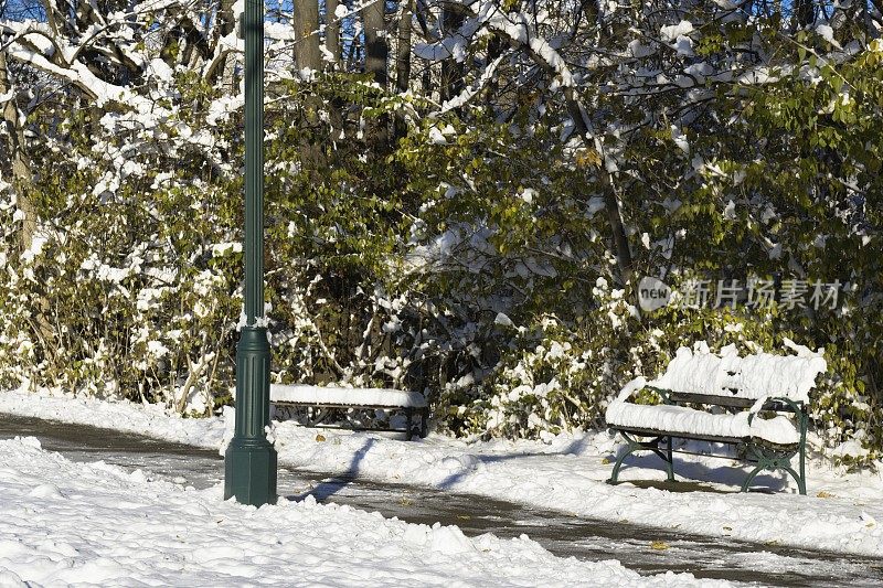 密歇根罗彻斯特的冰雪之路