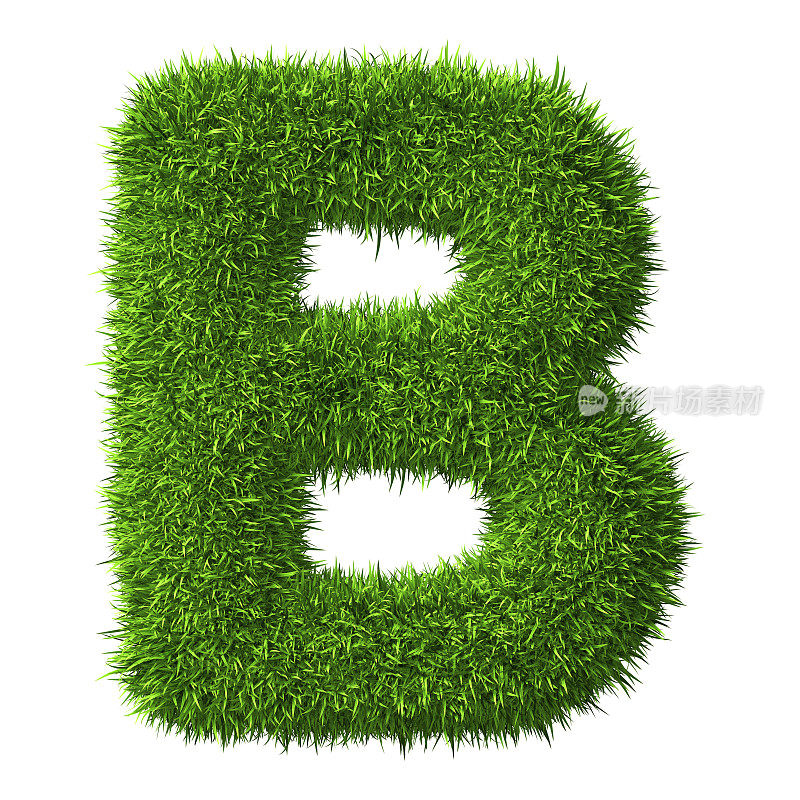 草的字母B
