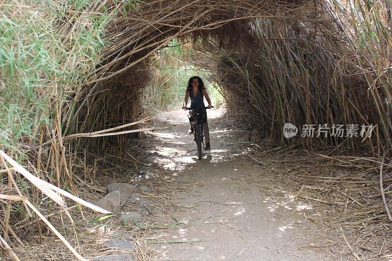 年轻女性沿着自然道路骑车