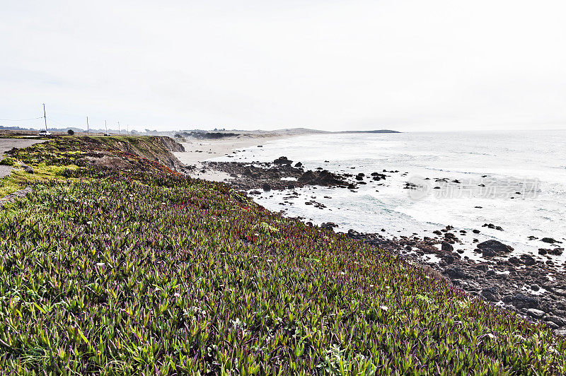 太平洋与Bodega海滩景色