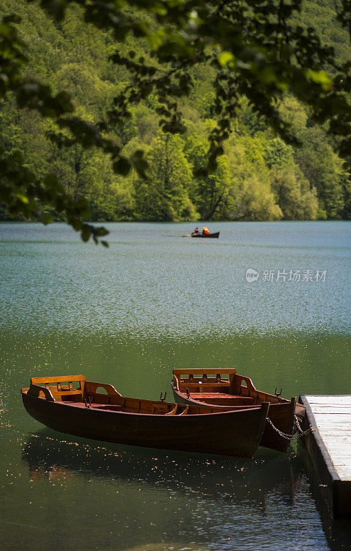 生物格拉德湖