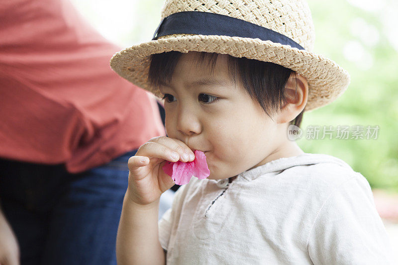 男孩在公园里从花中吸食花蜜