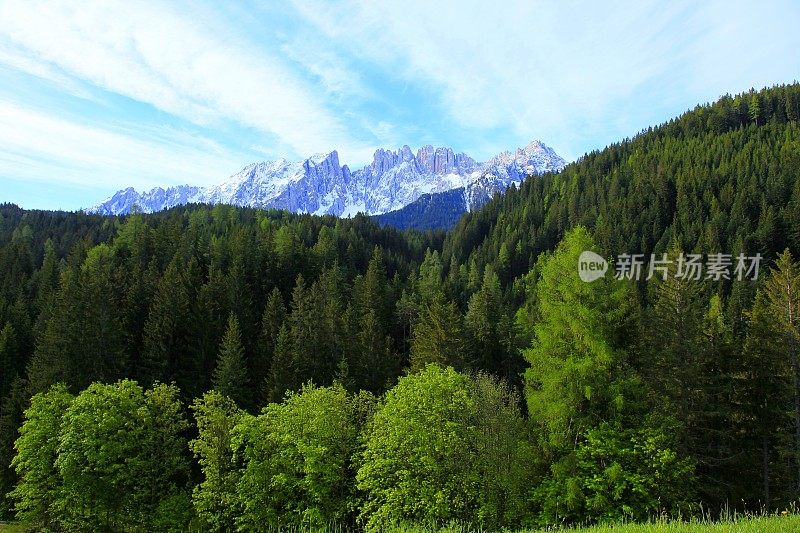 高山绿林白云石，白雪皑皑的山石，松树-博尔扎诺，白云石