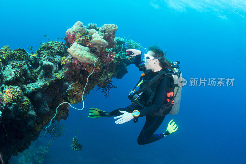 沉船潜水-帕劳，密克罗尼西亚