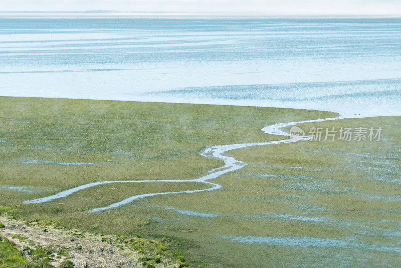 华盛顿州的海岸流入海中