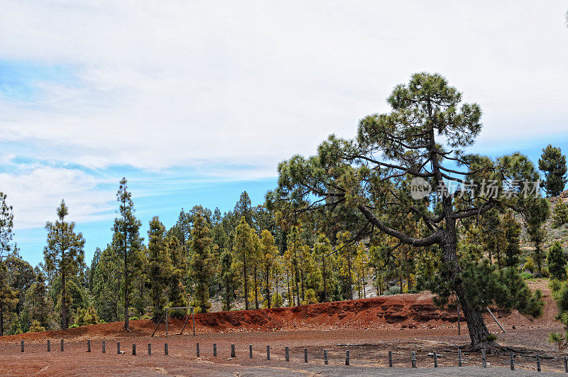 埃尔泰德国家公园(特内里费)的火山景观