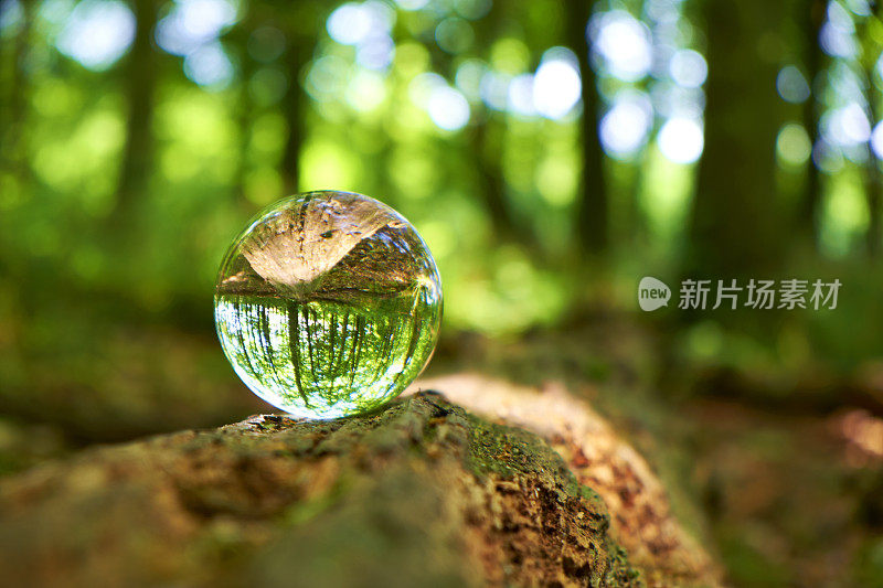 水晶球林地风景