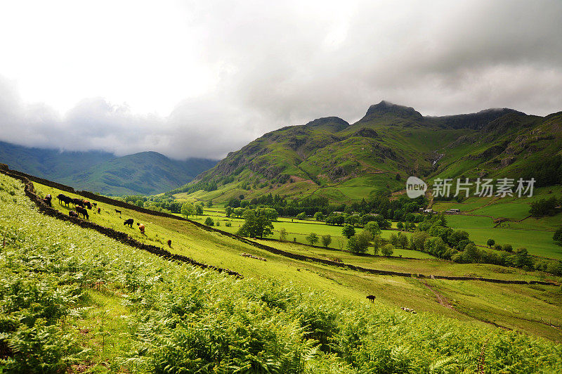 Langdale派克