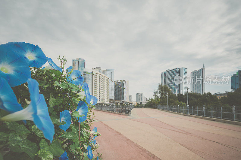 奥斯汀市中心摩天大楼天际线全景城市景观