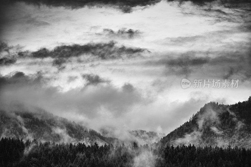 阿尔卑斯山在云中