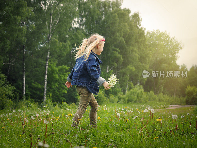 小女孩拿着一束花在操场上。夏天，大自然，阳光