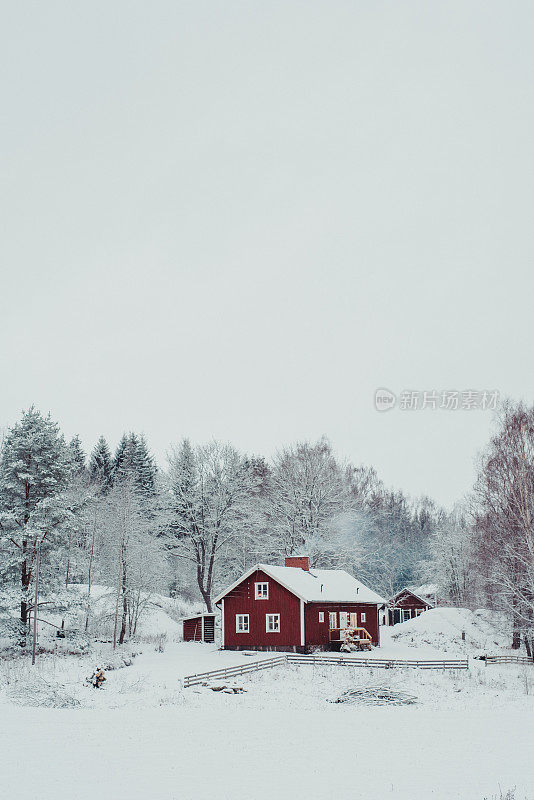 红农舍的房子在乡村的冬季雪景观