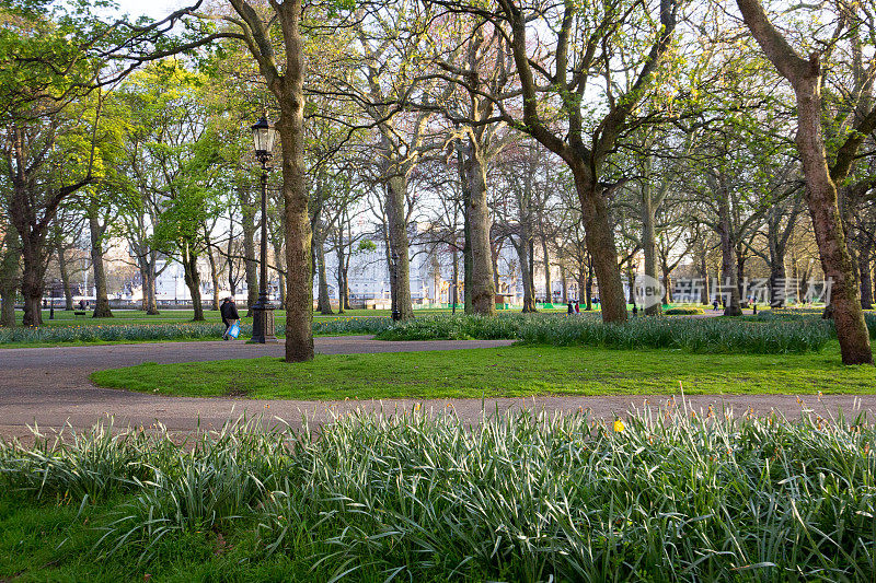 伦敦威斯敏斯特的格林公园