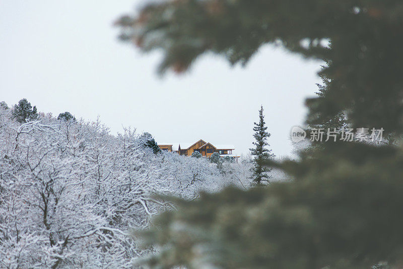 白色风景-科罗拉多州西部高海拔冬季降雪