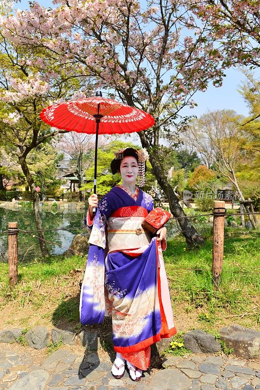 日本妇女在京都的春天享受舞子体验
