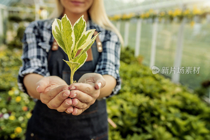 生态环境保护。种植。