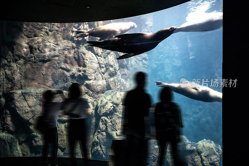 人们在水族馆里欣赏各种各样的鱼