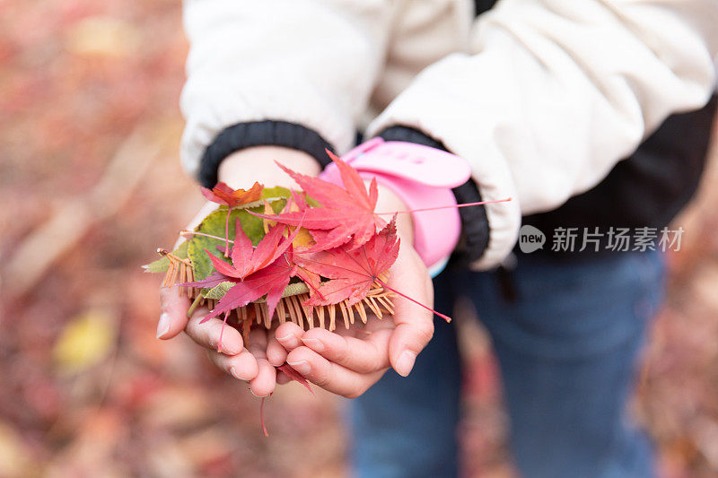 女孩喜欢秋天