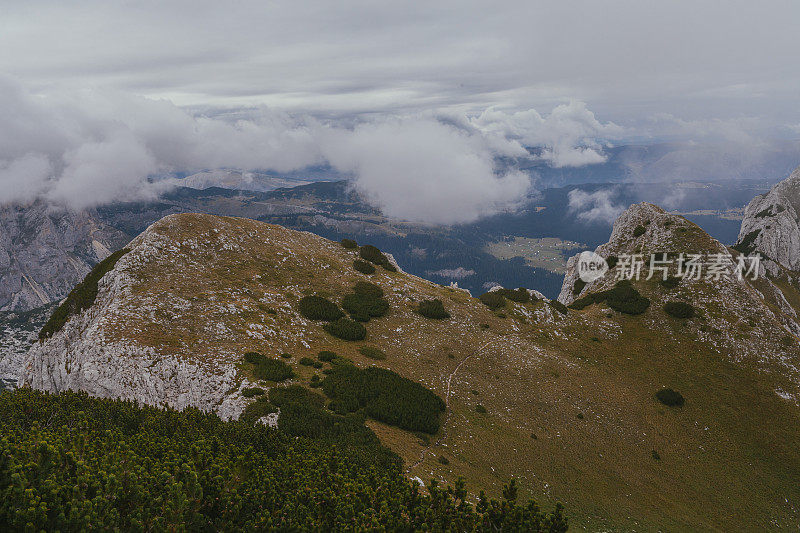 山和森林