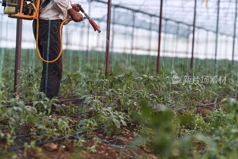 农民在温室里给庄稼喷洒农药