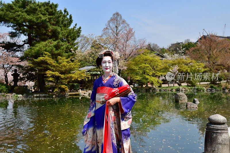 日本女人在Maiko的服装和发型享受京都的春天