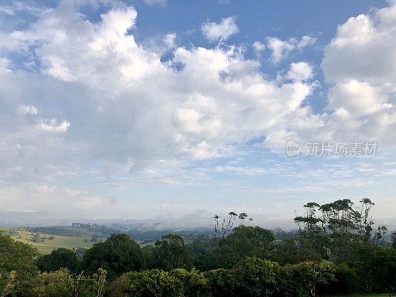 新南威尔士州北部海岸热带雨林景观在多云的冬天的一天