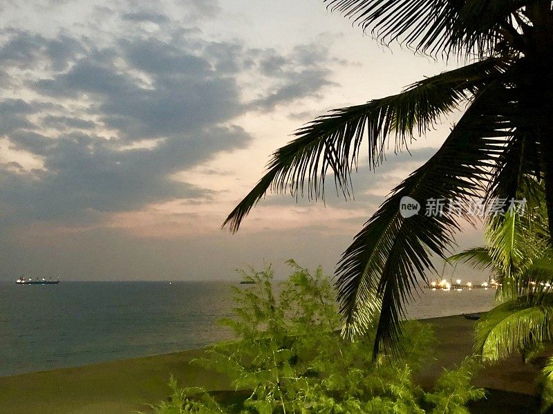 棕榈树(槟榔科)剪影，戏剧性的日落天空，Palolem海滩，果阿，印度