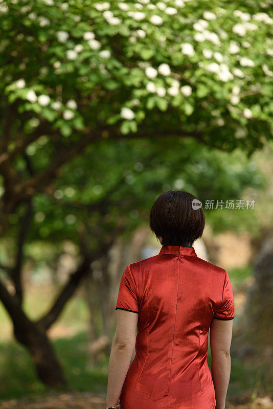 山楂树下展示着中国传统服饰