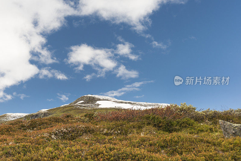 秋天的第一场雪染红了高山