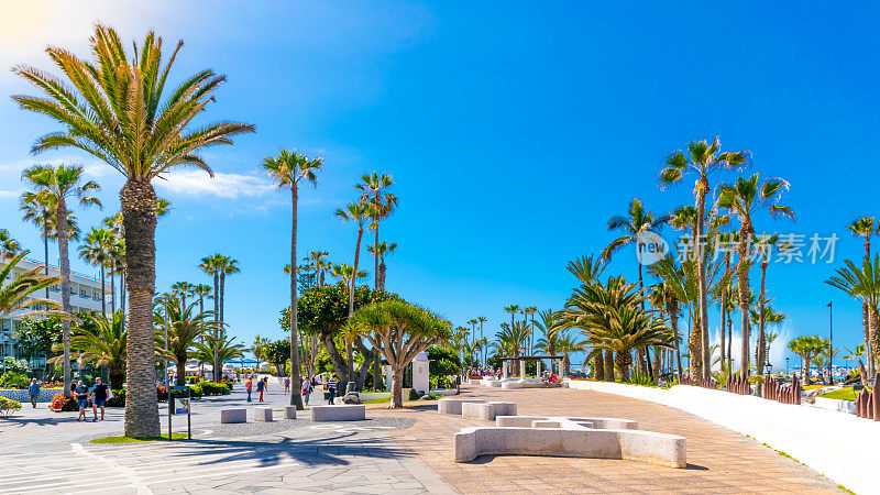 西班牙加那利岛，特内里费，科鲁兹港，克里斯托瓦尔大道海滩花园Colón