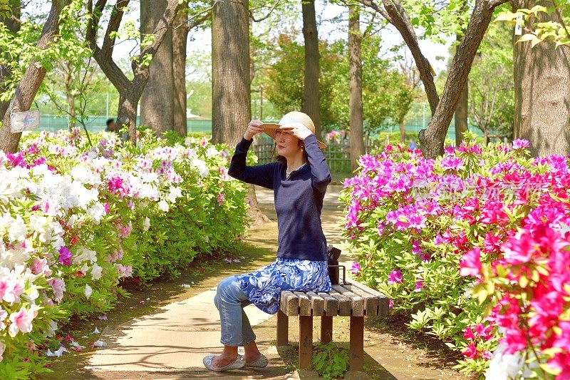 一名日本妇女在东京的公园里欣赏盛开的杜鹃花