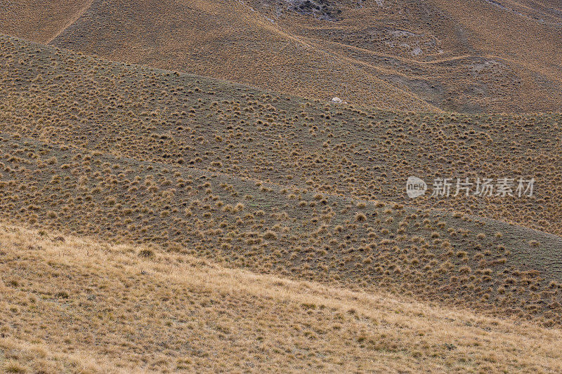 新西兰南岛林迪斯山口干燥干燥的山坡