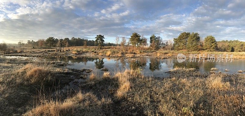 湿地全景